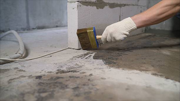 SJ Waterproofing Pros Waterproofing coverage map for Auburn, IL and surrounding area